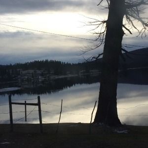 Meet your Posher, Zoe